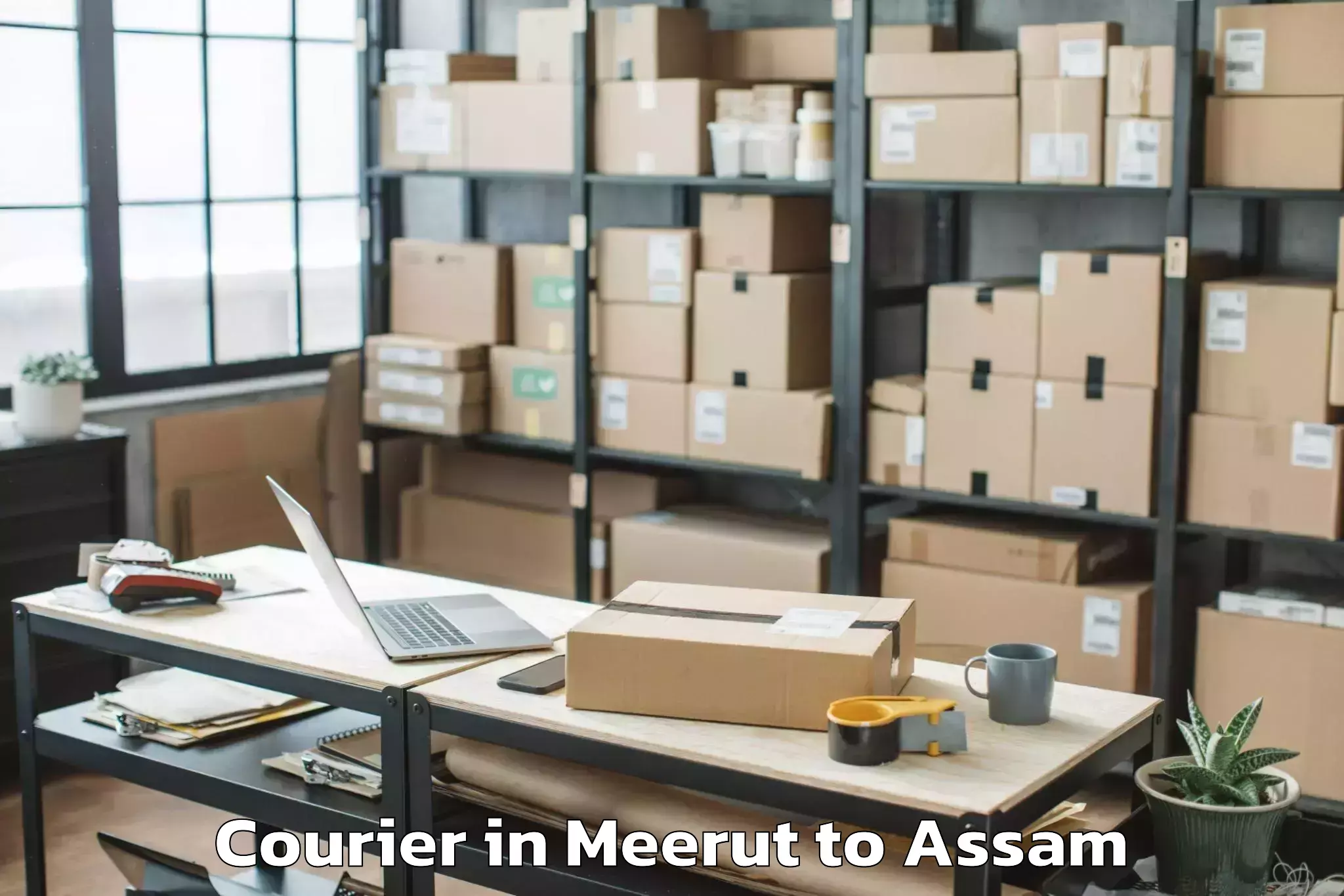 Top Meerut to Howraghat Courier Available